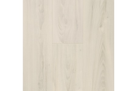 Вяз Magnolia 60039